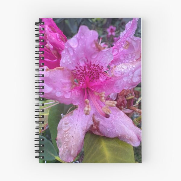 Item preview, Dew Drop Flower designed and sold by TaisiasCaptures.