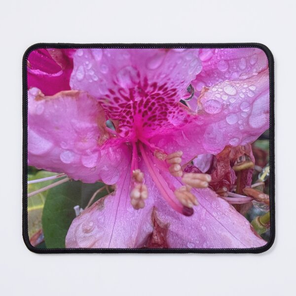Item preview, Dew Drop Flower designed and sold by TaisiasCaptures.