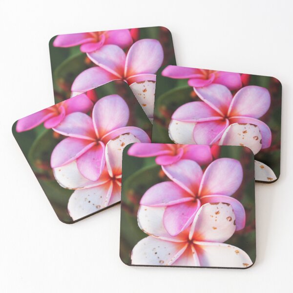Item preview, Tropical Pink Plumeria Flowers in Bloom designed and sold by CayoSnapper.