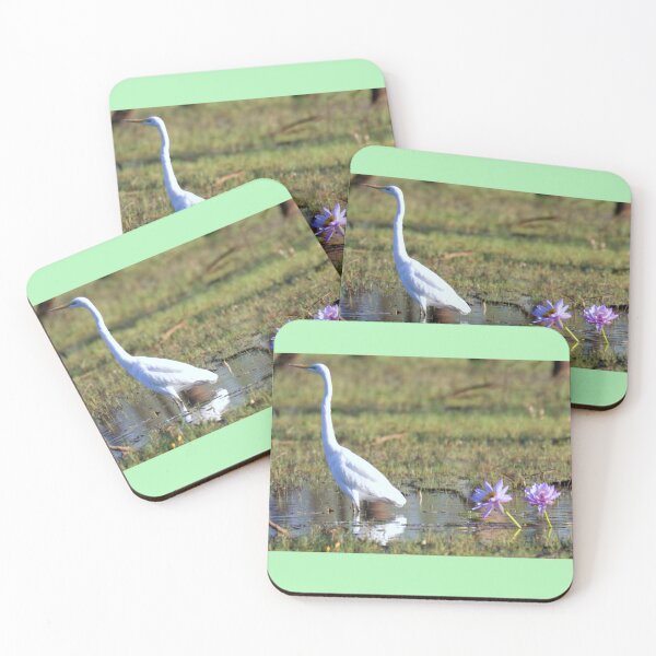 Item preview, Egret walking past water lilies in the lake designed and sold by BirdsAlive.