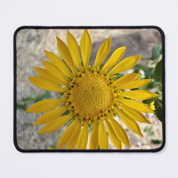 Item preview, A Perfect Bloom designed and sold by Betsy Phillips.