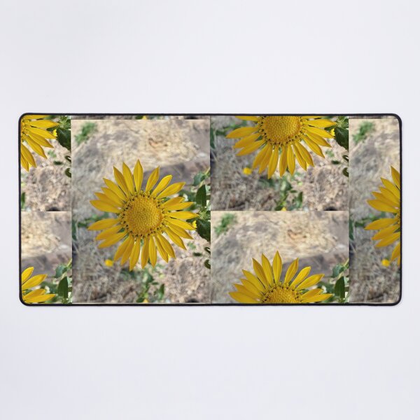 Item preview, A Perfect Bloom designed and sold by Betsy Phillips.
