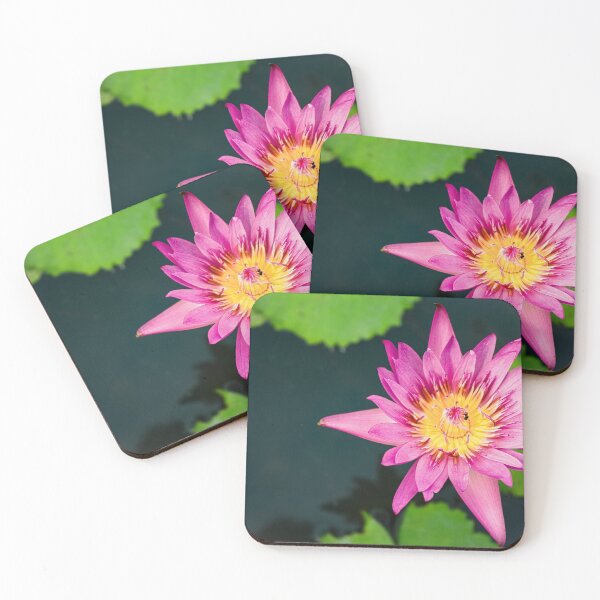 Item preview, Pink water lily seen from above designed and sold by By Sanata Photography.