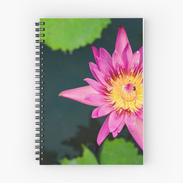Item preview, Pink water lily seen from above designed and sold by By Sanata Photography.
