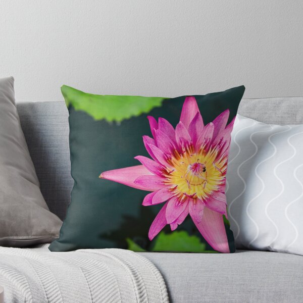 Item preview, Pink water lily seen from above designed and sold by By Sanata Photography.