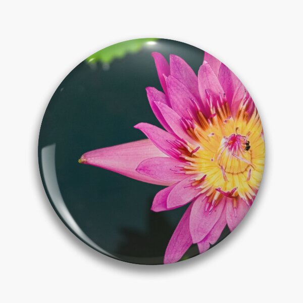 Item preview, Pink water lily seen from above designed and sold by By Sanata Photography.