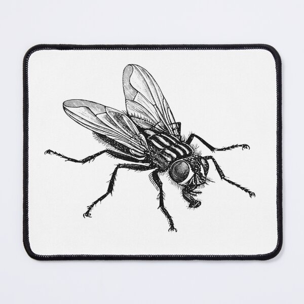 Item preview, Fly designed and sold by BANDOFSCRIBBLE Hollywood.