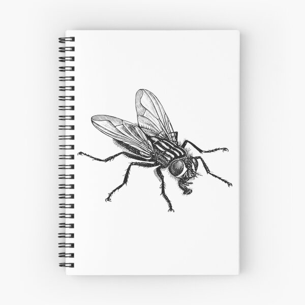 Item preview, Fly designed and sold by BANDOFSCRIBBLE Hollywood.