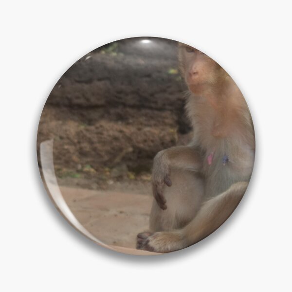 Item preview, A group of macaques and their babies near ancient ruins designed and sold by By Sanata Photography.