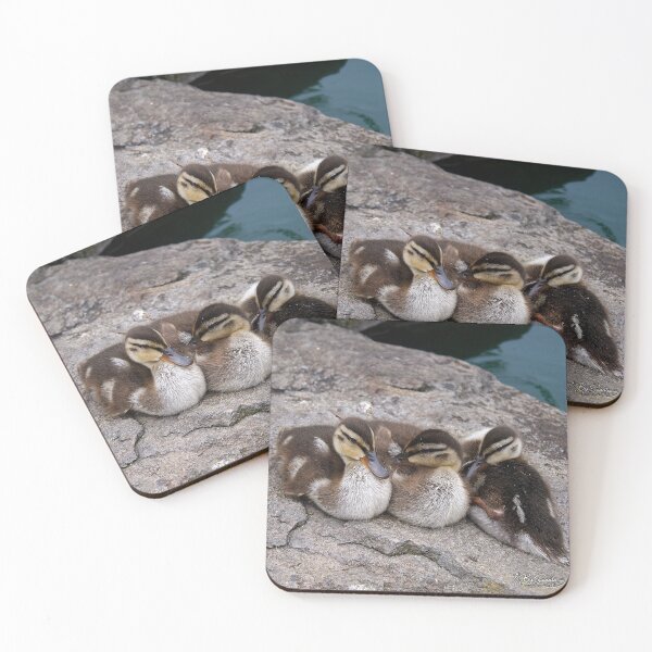Item preview, Three ducklings huddled together on a rock designed and sold by By Sanata Photography.