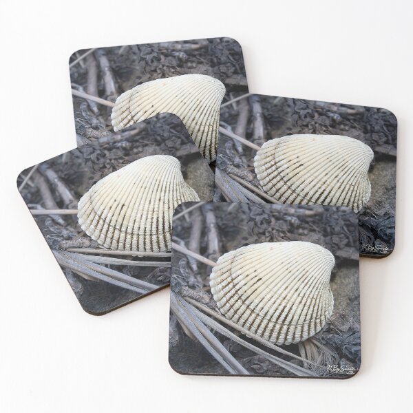 Item preview, Empty striated mollusc shell among dry vegetation designed and sold by By Sanata Photography.