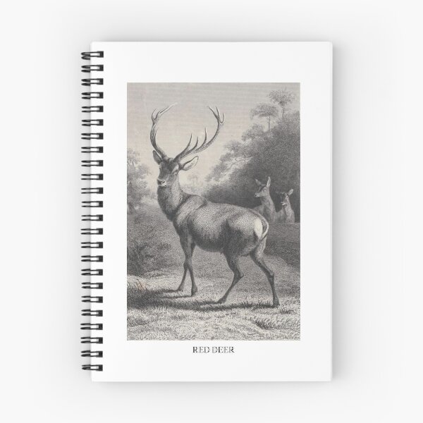 Item preview, Red Deer designed and sold by dotingkettle.
