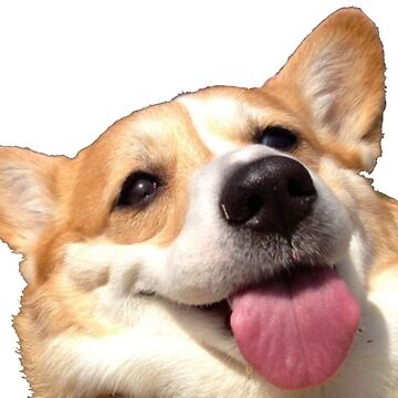 Aperçu de l'œuvre Corgi de madisonbaber