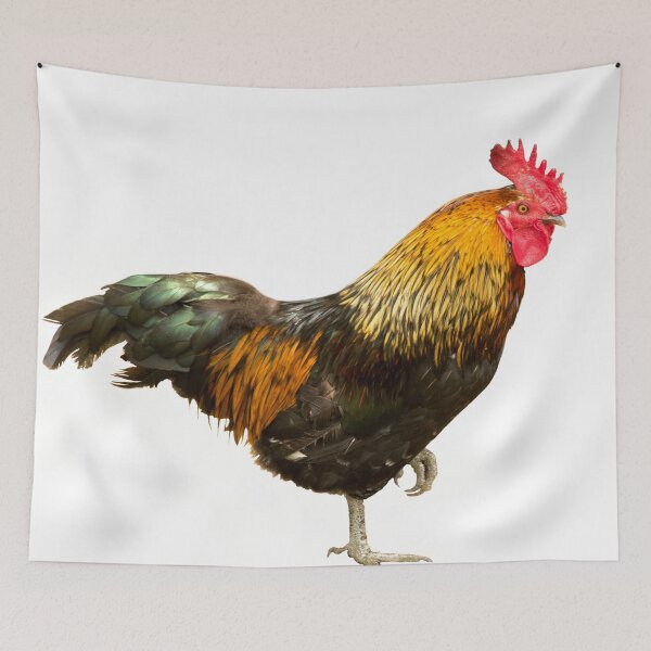 Item preview, the vain cock designed and sold by TessAndre.