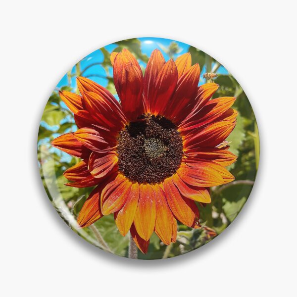 Item preview, Sunflower and Bee designed and sold by Hoppípolla Lass.