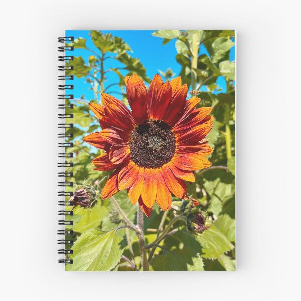 Item preview, Sunflower and Bee designed and sold by Hoppípolla Lass.