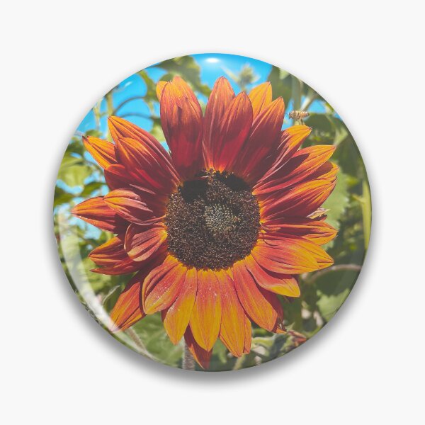 Item preview, Sunflower and Bee-BP designed and sold by Hoppípolla Lass.