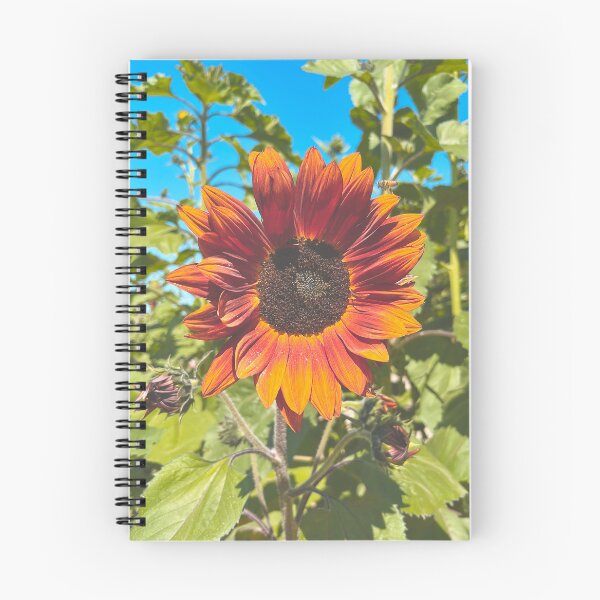 Item preview, Sunflower and Bee-BP designed and sold by Hoppípolla Lass.