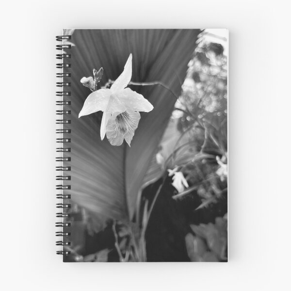 Item preview, Raindrops on Floating Flower-B&W designed and sold by Hoppípolla Lass.