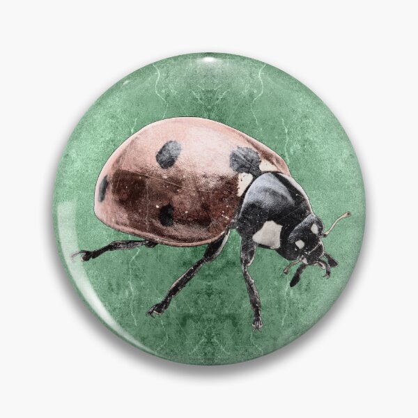Item preview, Red Seven Spot Ladybug Beetle Macro Insect Specimen designed and sold by Ghoul Enterprises.