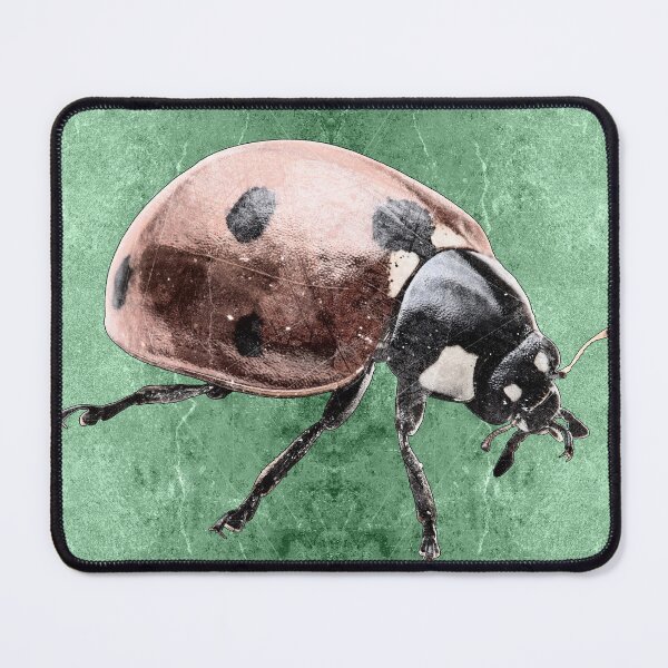 Item preview, Red Seven Spot Ladybug Beetle Macro Insect Specimen designed and sold by Ghoul Enterprises.