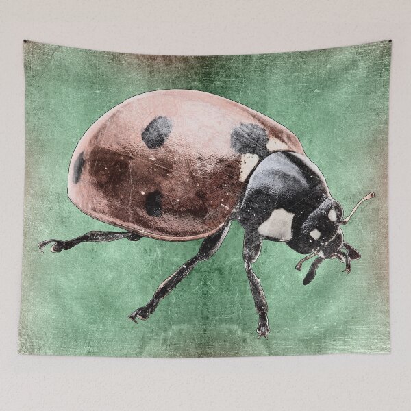 Item preview, Red Seven Spot Ladybug Beetle Macro Insect Specimen designed and sold by Ghoul Enterprises.