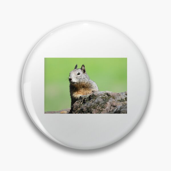 Item preview, This Is My Rock designed and sold by longo-mikaela.