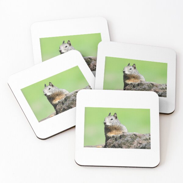 Item preview, This Is My Rock designed and sold by longo-mikaela.