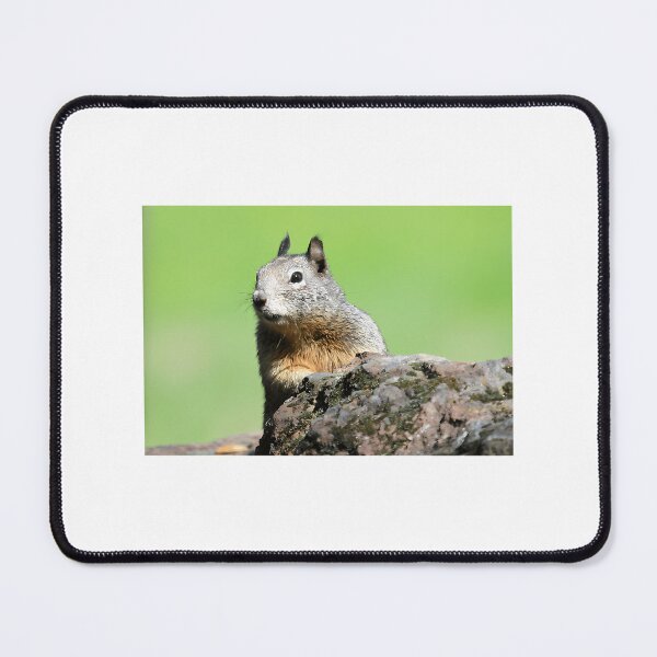 Item preview, This Is My Rock designed and sold by longo-mikaela.