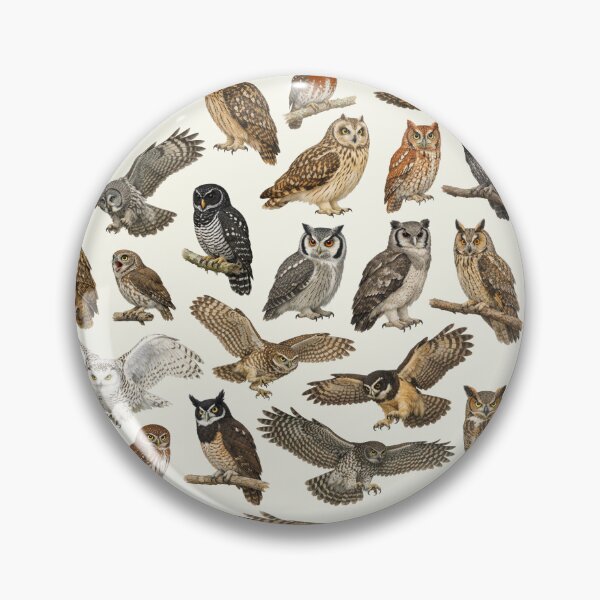 Item preview, Owls of the World Retro Identification Chart designed and sold by kakarikihill.