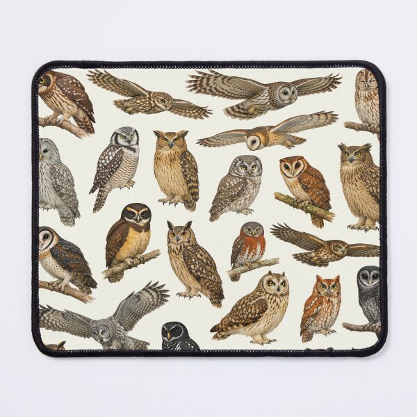 Item preview, Owls of the World Retro Identification Chart designed and sold by kakarikihill.