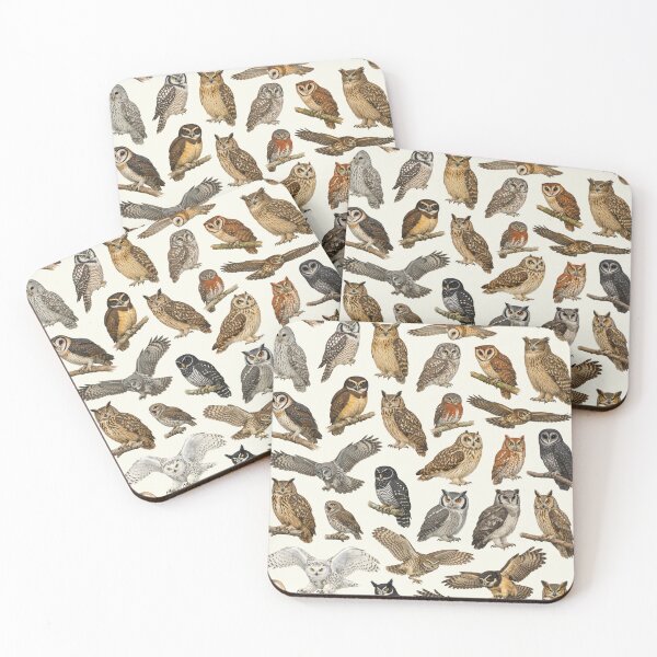 Item preview, Owls of the World Retro Identification Chart designed and sold by kakarikihill.