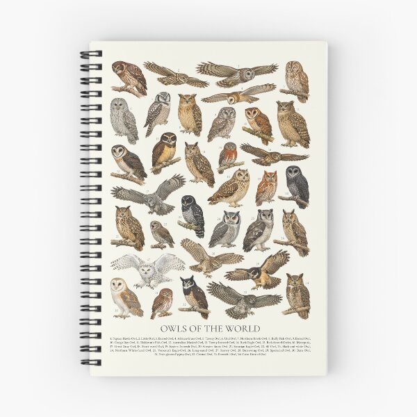Item preview, Owls of the World Retro Identification Chart designed and sold by kakarikihill.