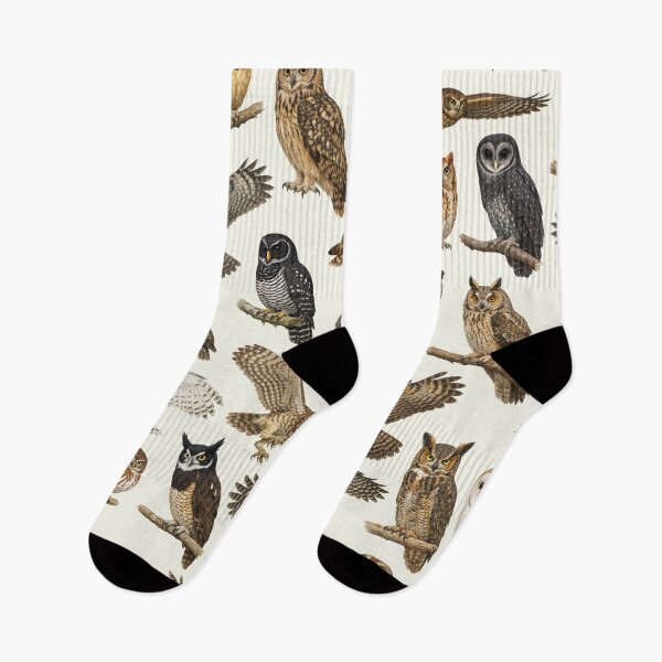 Item preview, Owls of the World Retro Identification Chart designed and sold by kakarikihill.