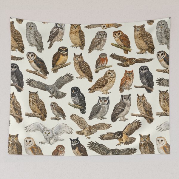 Item preview, Owls of the World Retro Identification Chart designed and sold by kakarikihill.