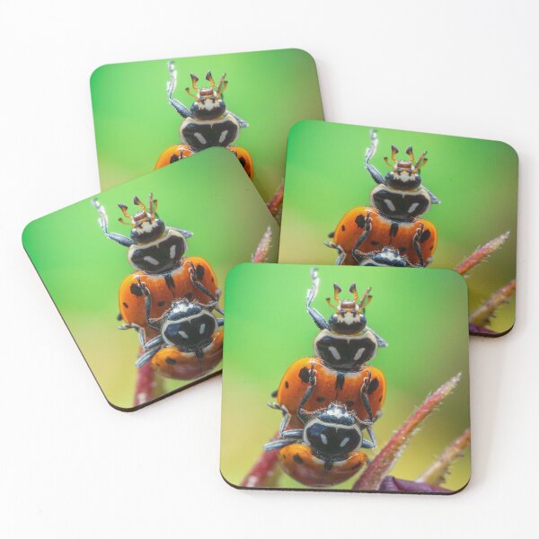 Item preview, Ladybugs on Flower Bud | Macro Insect Photography designed and sold by TheHikersEye.