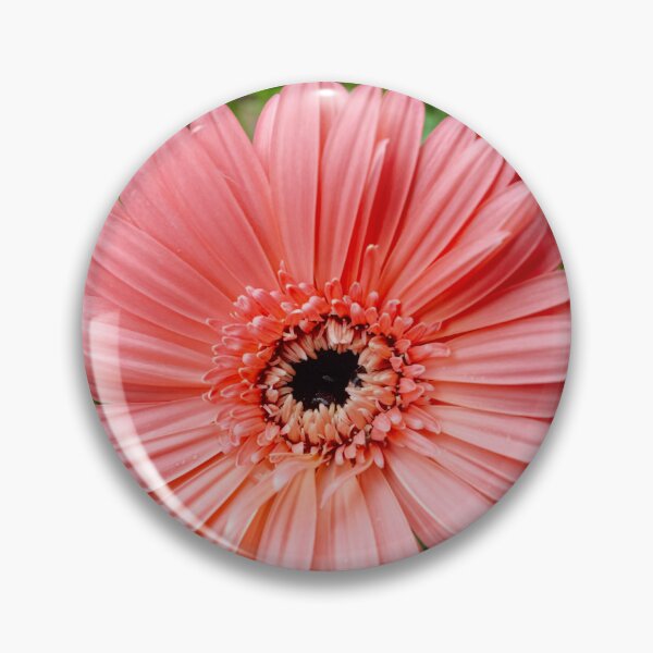 Item preview, Coral Crown — Pink Gerbera Daisy in a Garden of Color designed and sold by Jomsunshine.
