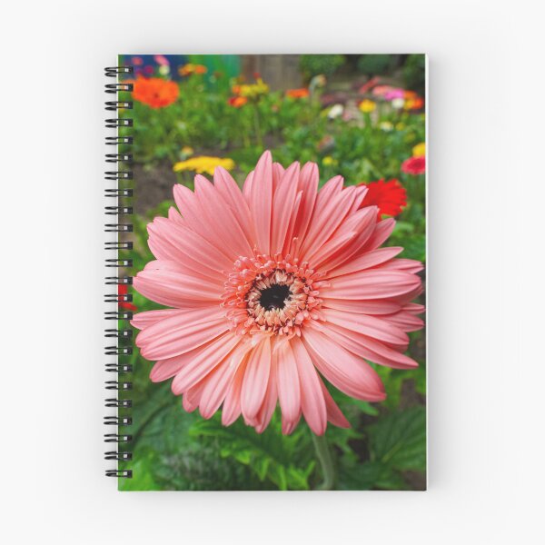 Item preview, Coral Crown — Pink Gerbera Daisy in a Garden of Color designed and sold by Jomsunshine.