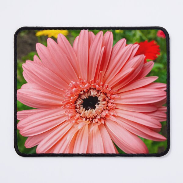 Item preview, Coral Crown — Pink Gerbera Daisy in a Garden of Color designed and sold by Jomsunshine.