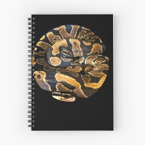 Item preview, Chuck the Ball Python designed and sold by filledesang.