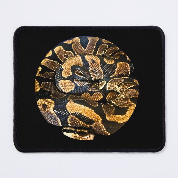 Item preview, Chuck the Ball Python designed and sold by filledesang.
