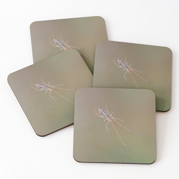 Item preview, Small Long Jawed Orb Weaver designed and sold by Ralph Goldsmith.