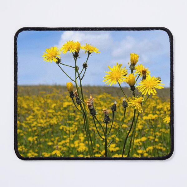 Item preview, Bright Yellow Flowers Against Blue Sky designed and sold by Simkfoth.