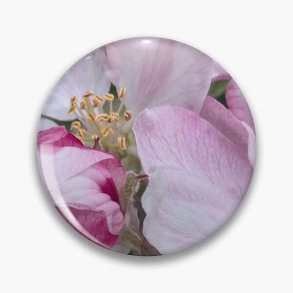 Item preview, Delicate Spring Apple Blossoms designed and sold by Simkfoth.