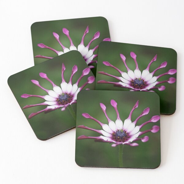 Item preview, in the crown designed and sold by Murph's Images.