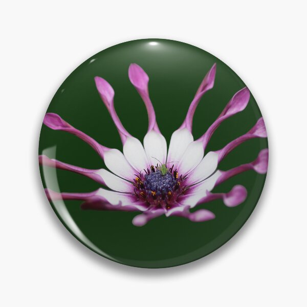 Item preview, in the crown designed and sold by Murph's Images.