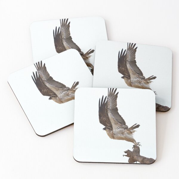 Item preview, Take off - Osprey launching from a Pandanus tree designed and sold by Rachel Elizabeth Photography.