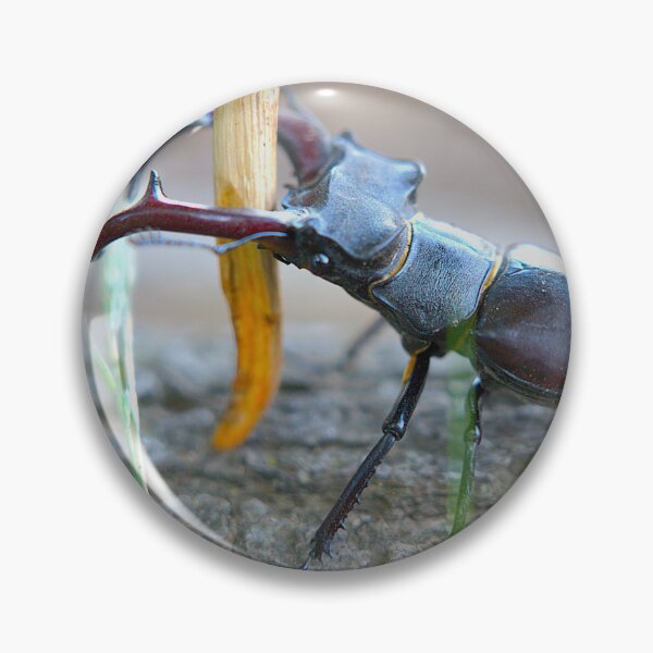 Item preview, Stag Beetle Close-Up Macro Nature Photography designed and sold by Rogi74.