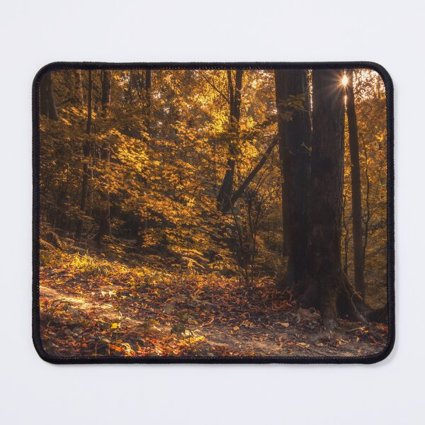 Item preview, Amber Glow Through Autumn Trees designed and sold by MariaAbaza.