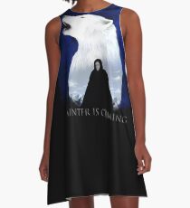 Â the wolf in the snow A-Line Dress